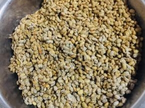 把豆子移到无油无水的干净的盆子里！