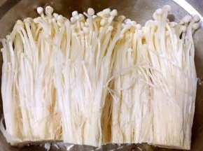 金针菇在清水中洗净后挤压出多余水份