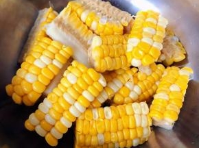 玉米剁成大小均匀的块状