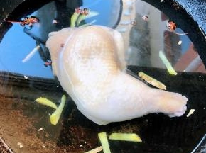 锅中添加适量清水放入鸡腿、姜片、花椒、八角大火煮熟