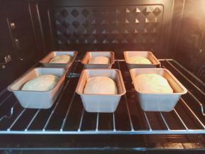 发酵好的面团手揉至排气，再分成6个小面团放入模具里面，放烤箱2次发酵至两倍大。