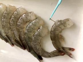 把虾洗净后，去头、去皮留下尾部，挑去虾线。