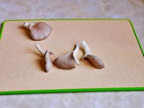 首先将平菇撕小朵。