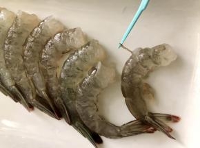 把虾洗净后，去头、去皮留下尾部，挑去虾线。
