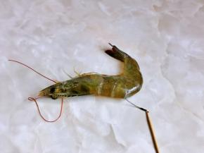 去虾线，借助牙签挑出来即可，如图。