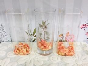 把水蜜桃果肉放入杯子中！