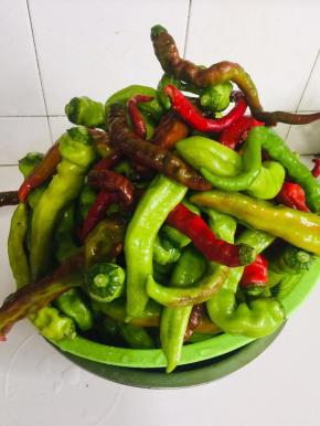 捞出来晾干水份备用！如果赶时间也可以用厨房纸把辣椒表面水分擦干！