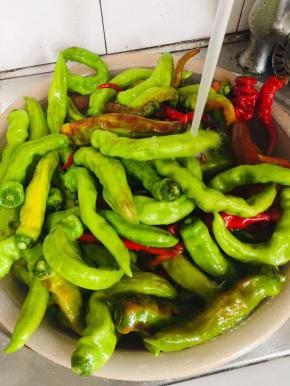 辣椒用剪刀剪掉蒂，清洗干净！