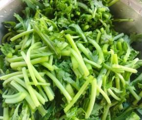 茼蒿切成大小均匀的小段