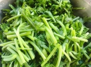 茼蒿切成大小均匀的小段