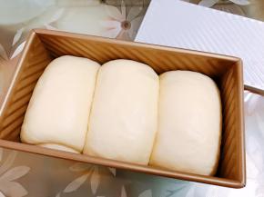 今天烤不加盖的，所以二发8到9分满