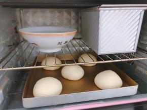 放入不通电的烤箱中二发