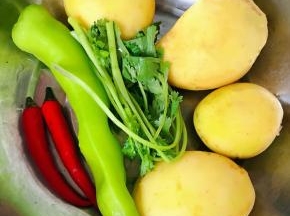 准备原材料土豆去皮、尖椒去籽香菜和小米辣洗净