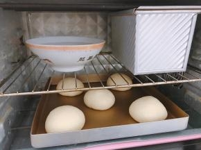 二发至2倍大