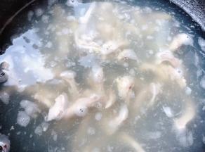 锅中烧开水放入猪肚简单焯一下水立即捞出