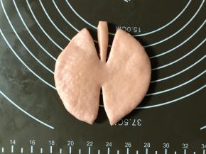 取一个松弛好的小面团，擀成圆形片状（如果边缘有小气泡，可以用手按扁，或者用牙签扎破）；找一个圆形的小瓶盖或者圆形裱花嘴，在中心位置按一下，定下圆心的位置。后面切的时候围绕着圆心切，这样会更整齐。如图，上面切两刀，下面切一刀。