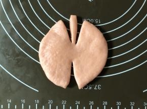 取一个松弛好的小面团，擀成圆形片状（如果边缘有小气泡，可以用手按扁，或者用牙签扎破）；找一个圆形的小瓶盖或者圆形裱花嘴，在中心位置按一下，定下圆心的位置。后面切的时候围绕着圆心切，这样会更整齐。如图，上面切两刀，下面切一刀。