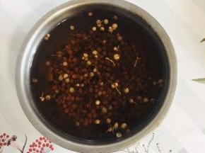 开水冲泡花椒，晾凉后过滤一下，留取花浇水备用！