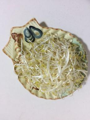 绿豆芽清洗干净备用！

