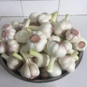 依次把所有的大蒜都剥掉外面的几层蒜皮！



