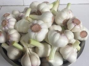 依次把所有的大蒜都剥掉外面的几层蒜皮！



