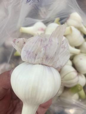 腌制这个水晶糖蒜必须把蒜皮拔掉几层！留最里面的一层即可！




