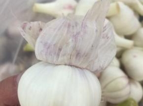 腌制这个水晶糖蒜必须把蒜皮拔掉几层！留最里面的一层即可！




