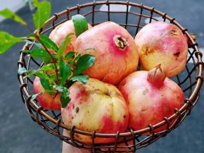 宝贝自己楼下摘的石榴呦。