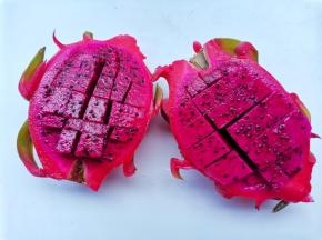 火龙果切块。