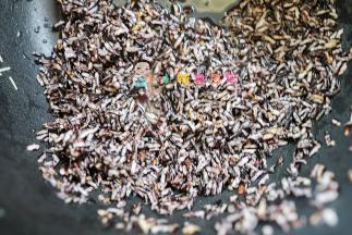 先把紫米跟煮饭一样煮熟，100g紫米加120g水电饭锅煮一下