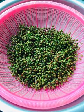 新鲜的花椒清洗干净，晾干水分备用！