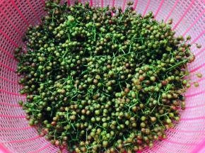 新鲜的花椒清洗干净，晾干水分备用！