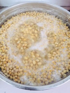 黄豆洗净提前浸泡2个小时，放入锅中水开再煮5分钟左右！