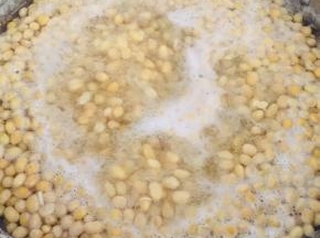 黄豆洗净提前浸泡2个小时，放入锅中水开再煮5分钟左右！