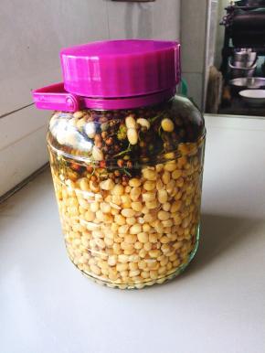 盖上盖子，密封保存一周，就可以吃了！（每次取麻豆的时候要用无油无水的勺子，然后再密封紧，这样才能保证泡出来的麻豆不会发酸，变味儿，生花！）