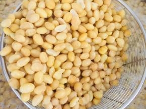 黄豆煮熟没有豆腥味儿，就可以捞出来控干水分！