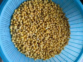 彻底晾凉备用！