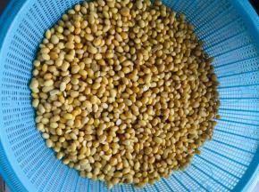 彻底晾凉备用！