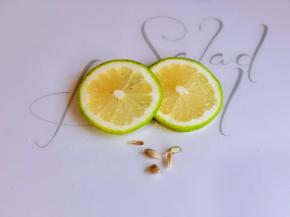 建议柠檬去籽，不然会苦。