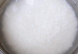 糯米洗净在清水中浸泡六小时
