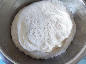 面团发到2.5倍大左右，撕开一部分看到成这种蜂窝状的大孔就可以了。