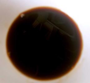 调味料糖、一品鲜酱油、蚝油倒入容器中