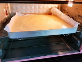 放入预热好的烤箱中层170度上下火烤20分钟