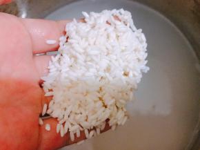 糯米提前一个小时浸泡