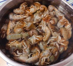鲜活的蝼蛄虾在清水中浸泡一会儿多冲洗几遍