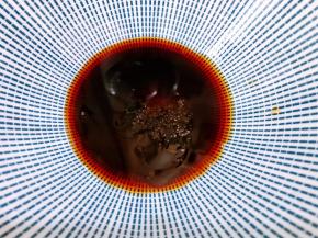 碗里加入生抽，醋，白糖，盐