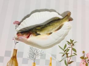 鲶鱼去内脏，去腮，用温水清洗干净鲶鱼表面的粘液备用！