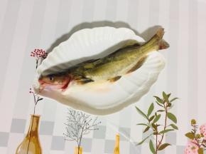 鲶鱼去内脏，去腮，用温水清洗干净鲶鱼表面的粘液备用！