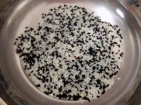 大米和黑米淘洗干净添加适量清水大火煮起来