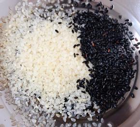 取适量的大米和黑米放入容器中